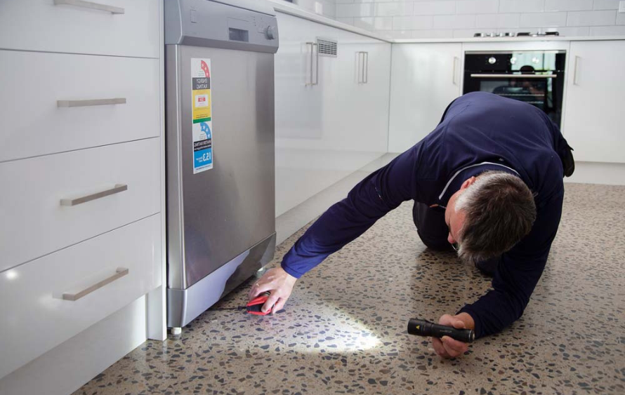 Building inspector Matt Humphrey examining a Sunshine Coast property